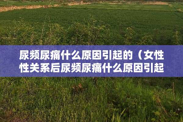尿频尿痛什么原因引起的（女性性关系后尿频尿痛什么原因引起的）