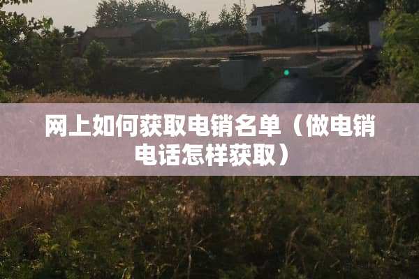 网上如何获取电销名单（做电销电话怎样获取）