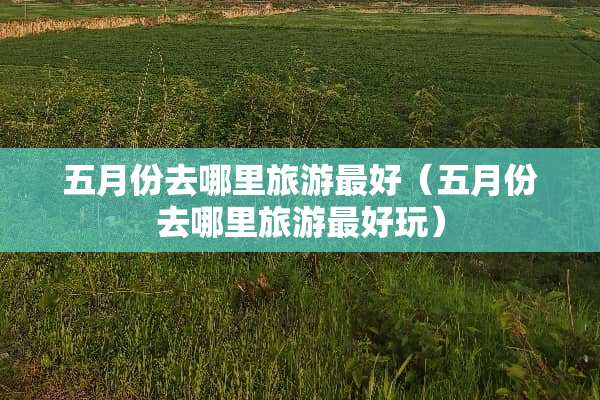 五月份去哪里旅游最好（五月份去哪里旅游最好玩）
