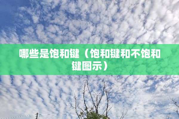 哪些是饱和键（饱和键和不饱和键图示）