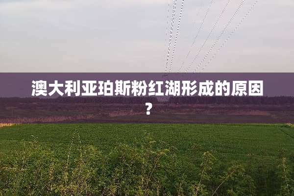 澳大利亚珀斯粉红湖形成的原因？