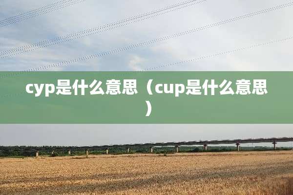 cyp是什么意思（cup是什么意思）