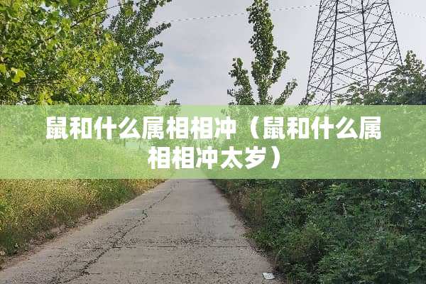 鼠和什么属相相冲（鼠和什么属相相冲太岁）