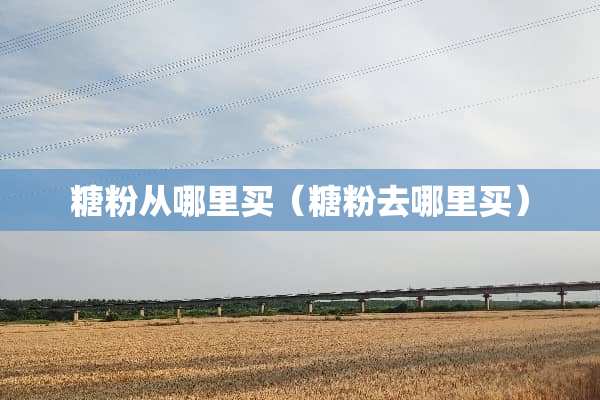 糖粉从哪里买（糖粉去哪里买）