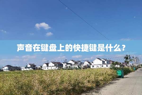 声音在键盘上的快捷键是什么？