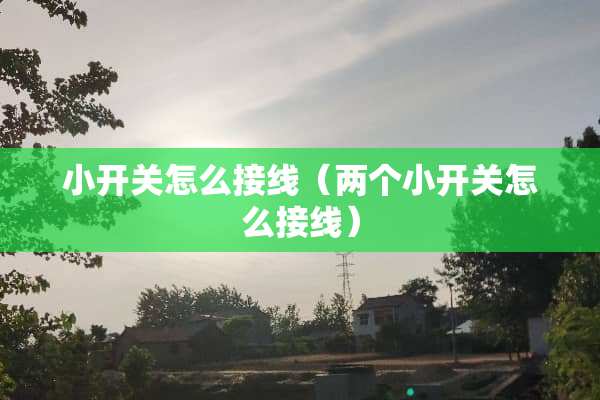 小开关怎么接线（两个小开关怎么接线）