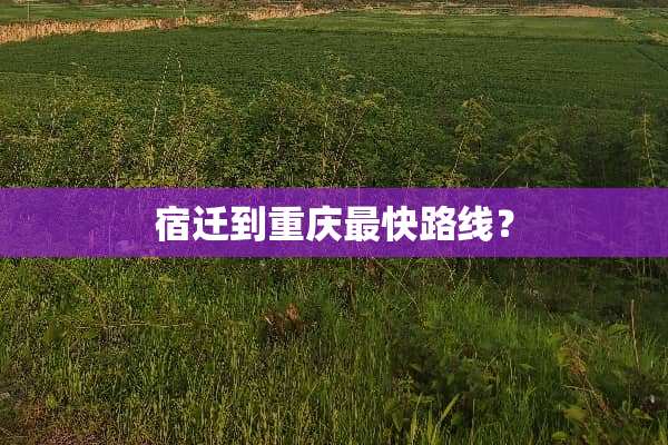 宿迁到重庆最快路线？