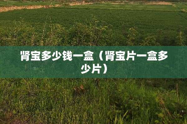 肾宝多少钱一盒（肾宝片一盒多少片）
