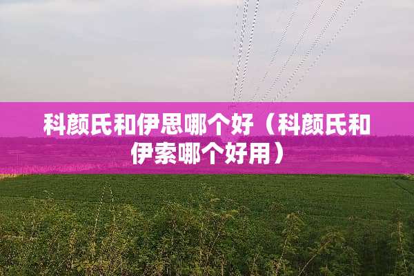 科颜氏和伊思哪个好（科颜氏和伊索哪个好用）