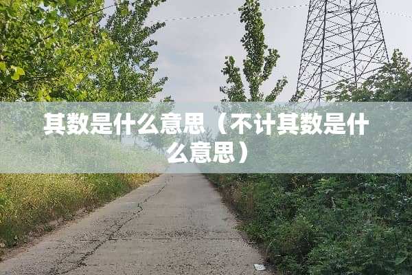 其数是什么意思（不计其数是什么意思）