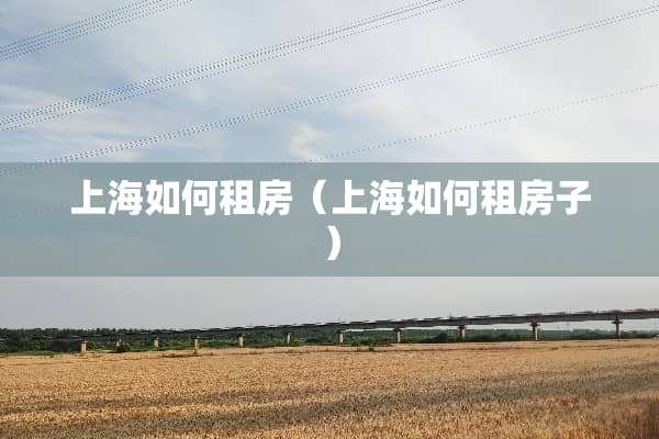 上海如何租房（上海如何租房子）