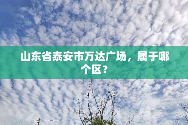 山东省泰安市万达广场，属于哪个区？