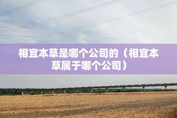 相宜本草是哪个公司的（相宜本草属于哪个公司）