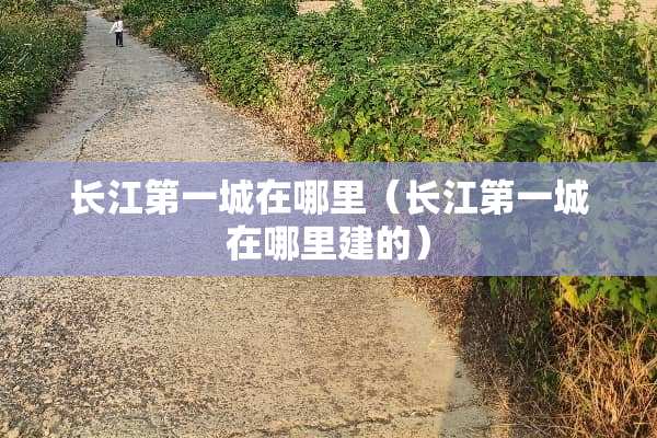 长江第一城在哪里（长江第一城在哪里建的）