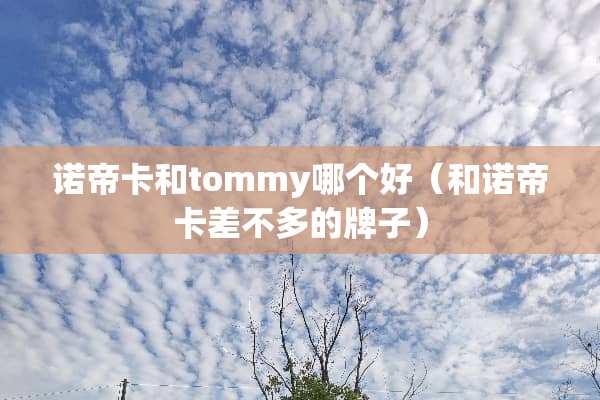 诺帝卡和tommy哪个好（和诺帝卡差不多的牌子）