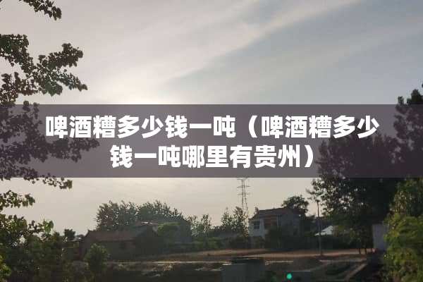 啤酒糟多少钱一吨（啤酒糟多少钱一吨哪里有贵州）