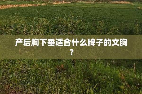 产后胸下垂适合什么牌子的文胸？