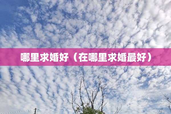 哪里求婚好（在哪里求婚最好）