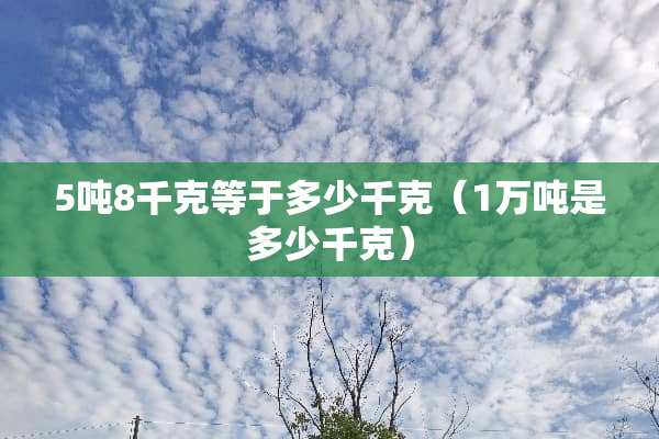 5吨8千克等于多少千克（1万吨是多少千克）