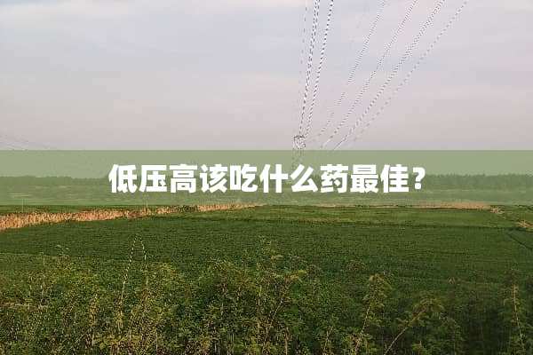低压高该吃什么药最佳？