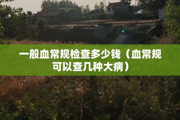 一般血常规检查多少钱（血常规可以查几种大病）
