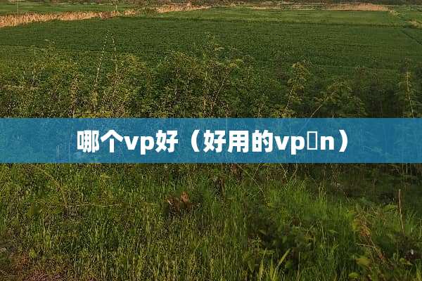 哪个vp好（好用的vp n）