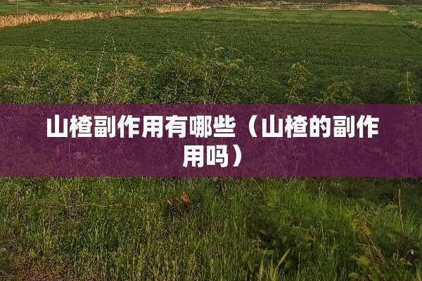 山楂副作用有哪些（山楂的副作用吗）