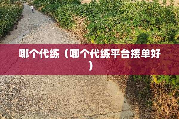 哪个代练（哪个代练平台接单好）