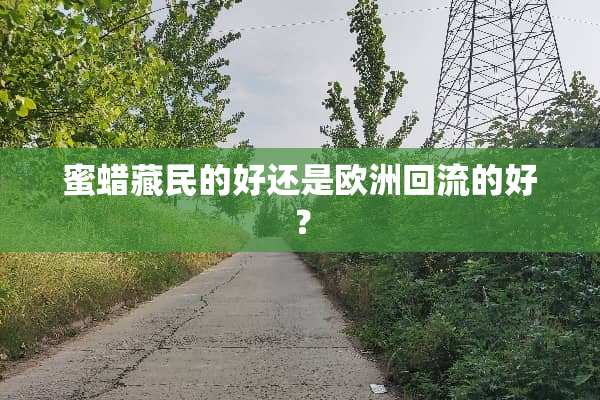 蜜蜡藏民的好还是欧洲回流的好？