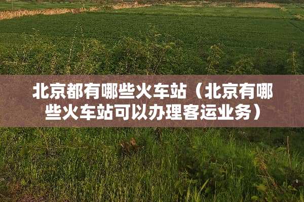 北京都有哪些火车站（北京有哪些火车站可以办理客运业务）