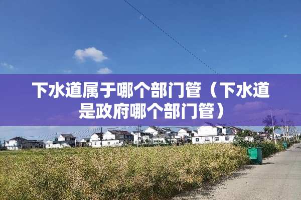 下水道属于哪个部门管（下水道是**哪个部门管）