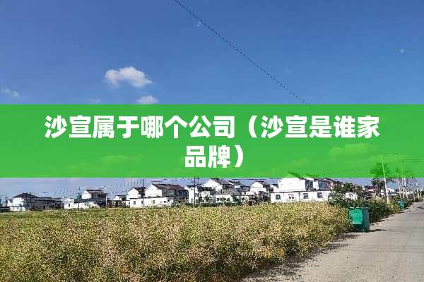沙宣属于哪个公司（沙宣是谁家品牌）