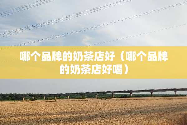 哪个品牌的奶茶店好（哪个品牌的奶茶店好喝）