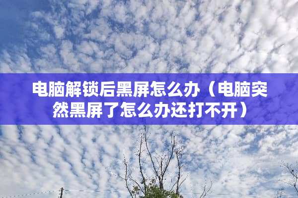 电脑解锁后黑屏怎么办（电脑突然黑屏了怎么办还打不开）