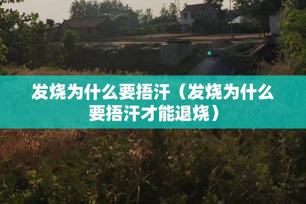 发烧为什么要捂汗（发烧为什么要捂汗才能退烧）