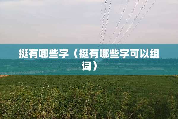 挺有哪些字（挺有哪些字可以组词）