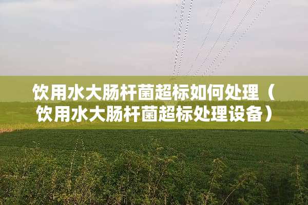 饮用水大肠杆菌超标如何处理（饮用水大肠杆菌超标处理设备）
