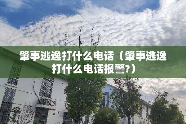 肇事逃逸打什么电话（肇事逃逸打什么电话报警?）