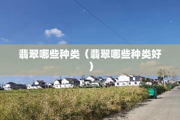 翡翠哪些种类（翡翠哪些种类好）
