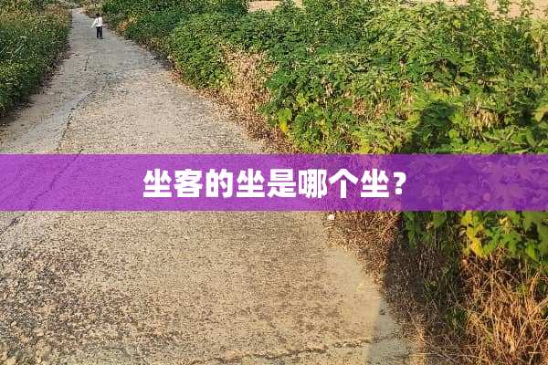 坐客的坐是哪个坐？