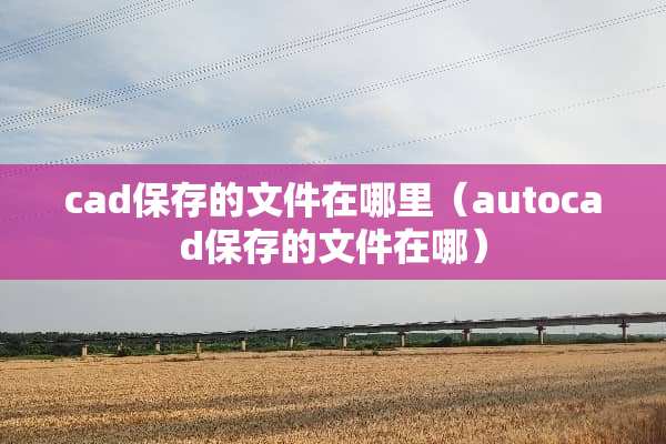 cad保存的文件在哪里（autocad保存的文件在哪）