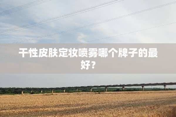 干性皮肤定妆喷雾哪个牌子的最好？