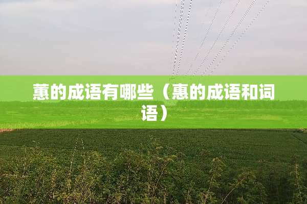 蕙的成语有哪些（惠的成语和词语）