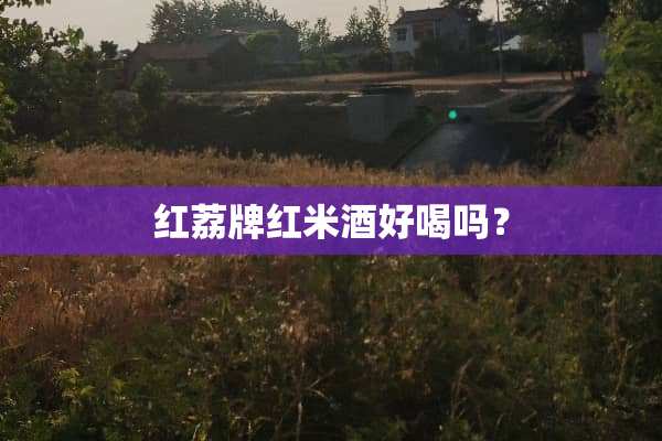 红荔牌红米酒好喝吗？