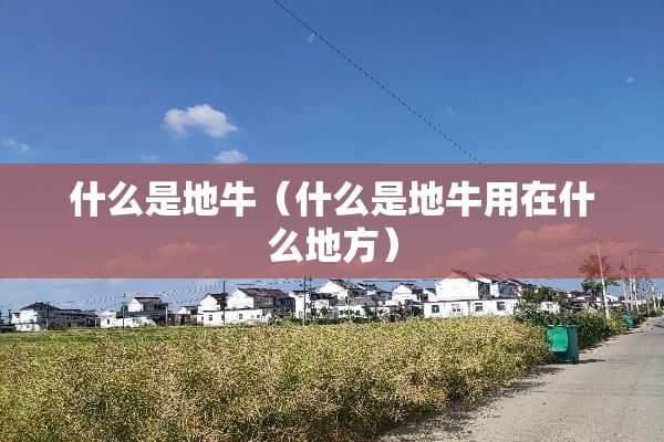 什么是地牛（什么是地牛用在什么地方）
