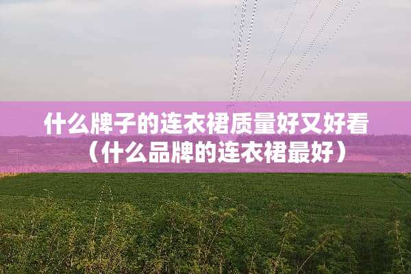 什么牌子的连衣裙质量好又好看（什么品牌的连衣裙最好）