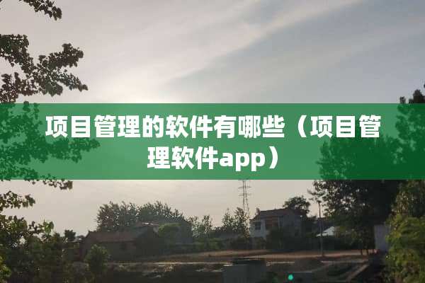 项目管理的软件有哪些（项目管理软件app）