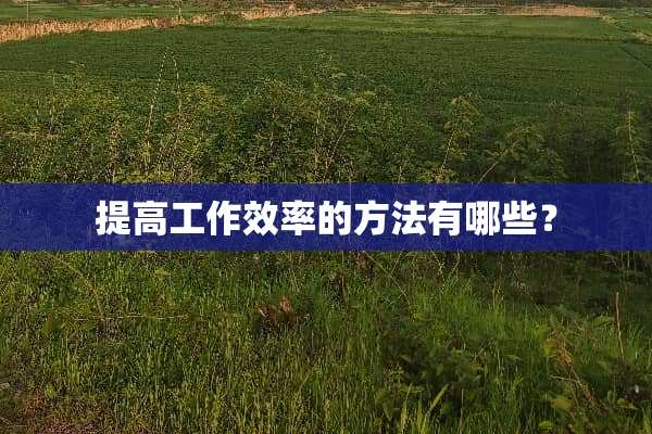 提高工作效率的方法有哪些？