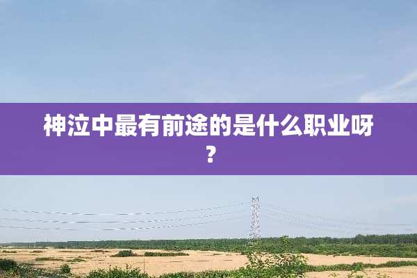 神泣中最有前途的是什么职业呀？
