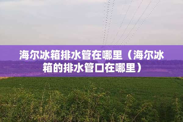海尔冰箱排水管在哪里（海尔冰箱的排水管口在哪里）